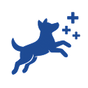 Gazon artificiel pour chien – hygiène